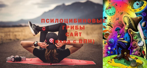 соль ск Алексеевка