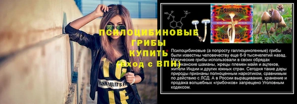тгк Алексин