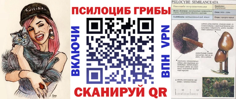 это как зайти Карабаш Галлюциногенные грибы мухоморы